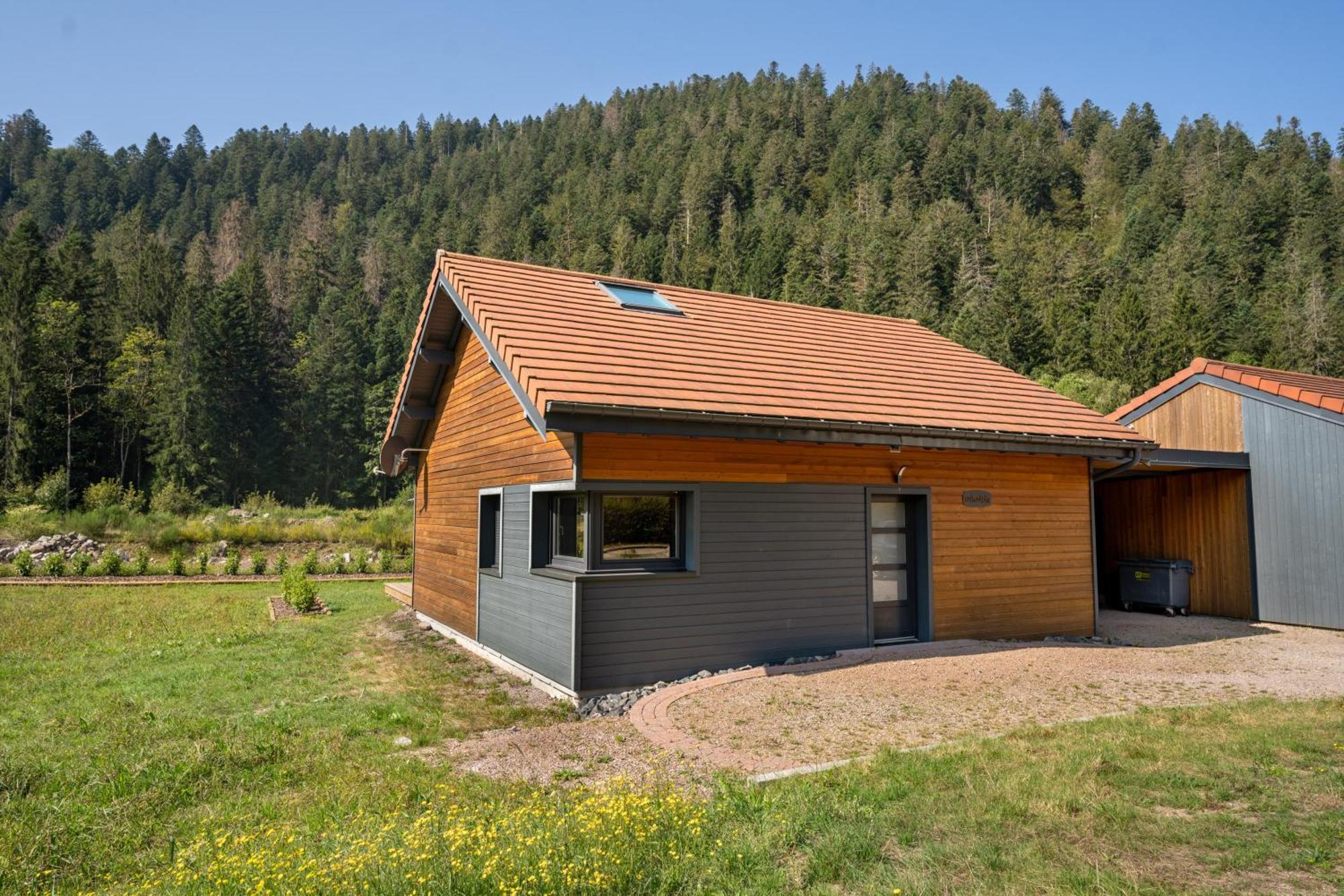 Chalet Nemesia Avec Spa A Gérardmer Exteriör bild